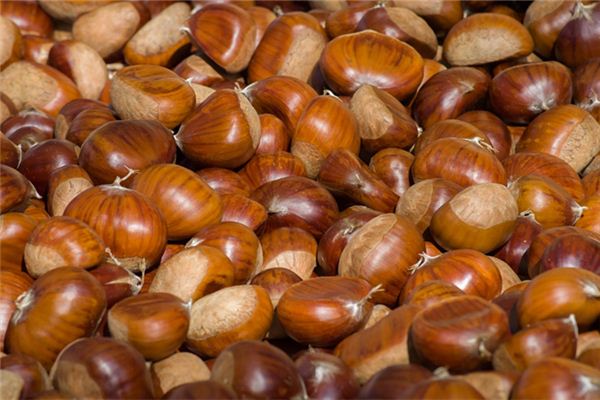 梦见板栗是什么预兆 梦见板栗是什么预兆