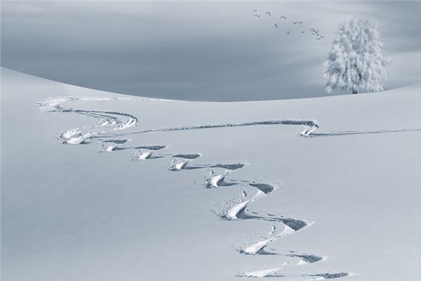 梦见跟踪是什么意思 梦见跟踪是什么意思