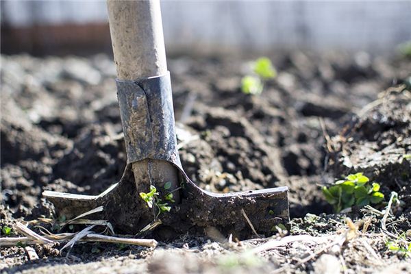梦见挖地是什么意思 梦见挖地是什么意思