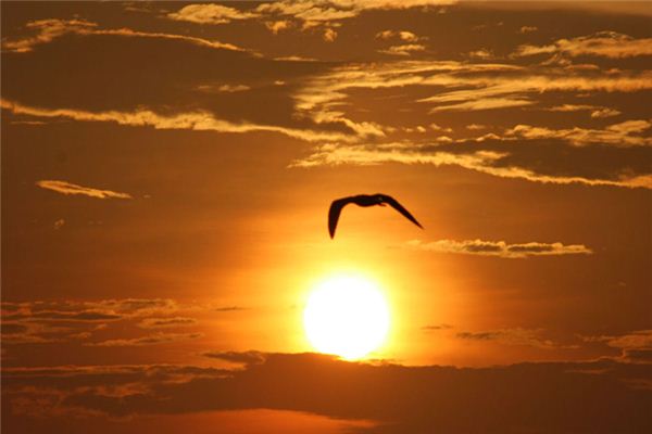 梦见自己飞是什么意思 梦见自己飞是什么意思