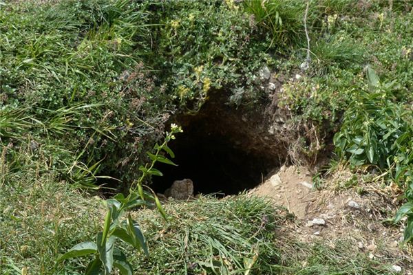 梦见挖洞是什么意思 梦见挖洞是什么意思