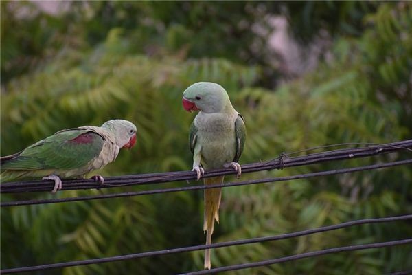 梦见斥责是什么意思 梦见斥责是什么意思