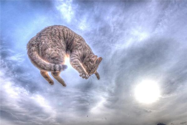 梦见踩空是什么意思 梦见踩空是什么意思