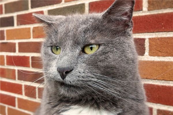 梦见憎恨是什么意思 梦见憎恨是什么意思