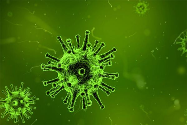 梦见霍乱是什么意思 梦见霍乱是什么意思