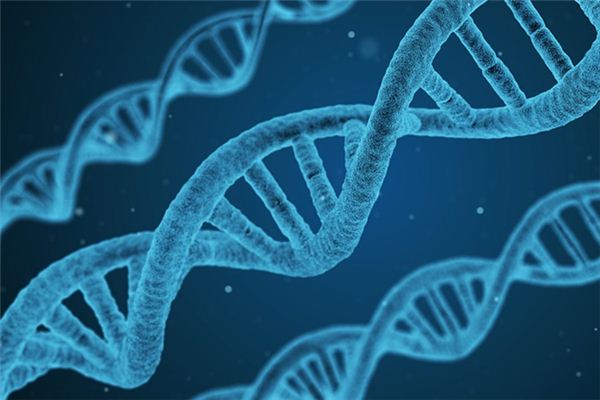 梦见疝带是什么意思 梦见疝带是什么意思