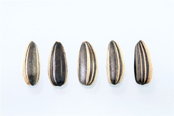 做梦嗑瓜子是什么意思 做梦嗑瓜子是什么意思