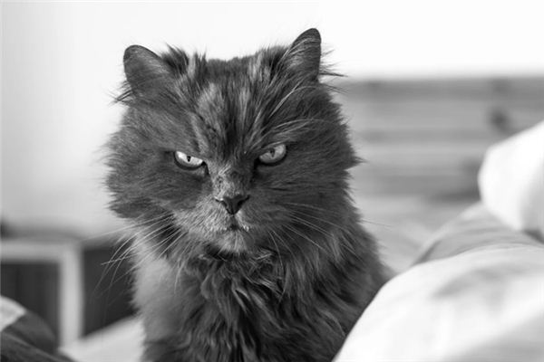 梦见轻视是什么意思 梦见轻视是什么意思