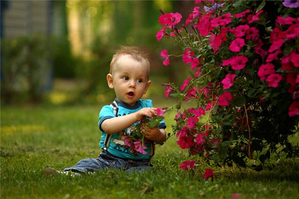 梦见捡小孩是什么意思 梦见捡小孩是什么意思