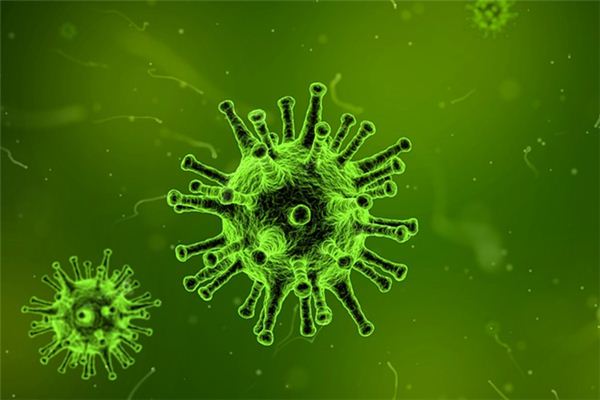 梦见细菌是什么意思 梦见细菌是什么意思