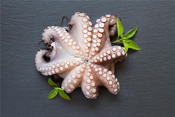 梦到八爪鱼 梦到八爪鱼